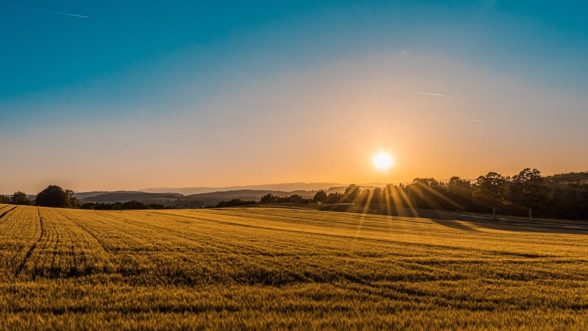 Brežuljkasti pašnjaci i polja u ruralnoj Bosni i Hercegovini